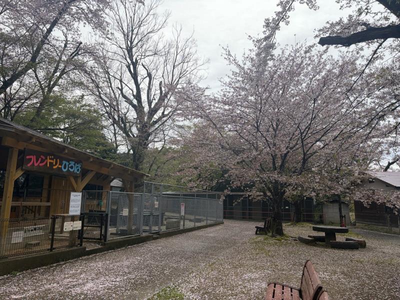 動物舎周辺
